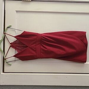 NWT Windsor size M, burgundy dress